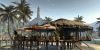Dead Island - 11